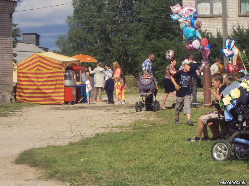 В праздник День деревни 18.07.2015 г.